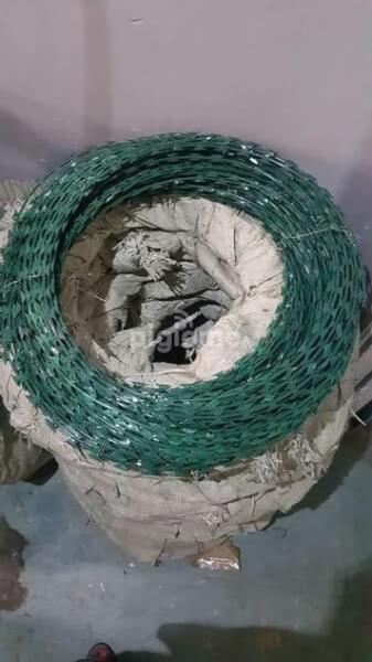 450mm-Green-Double-Galvanized-Razor-Wire1.jpg - P. S. L