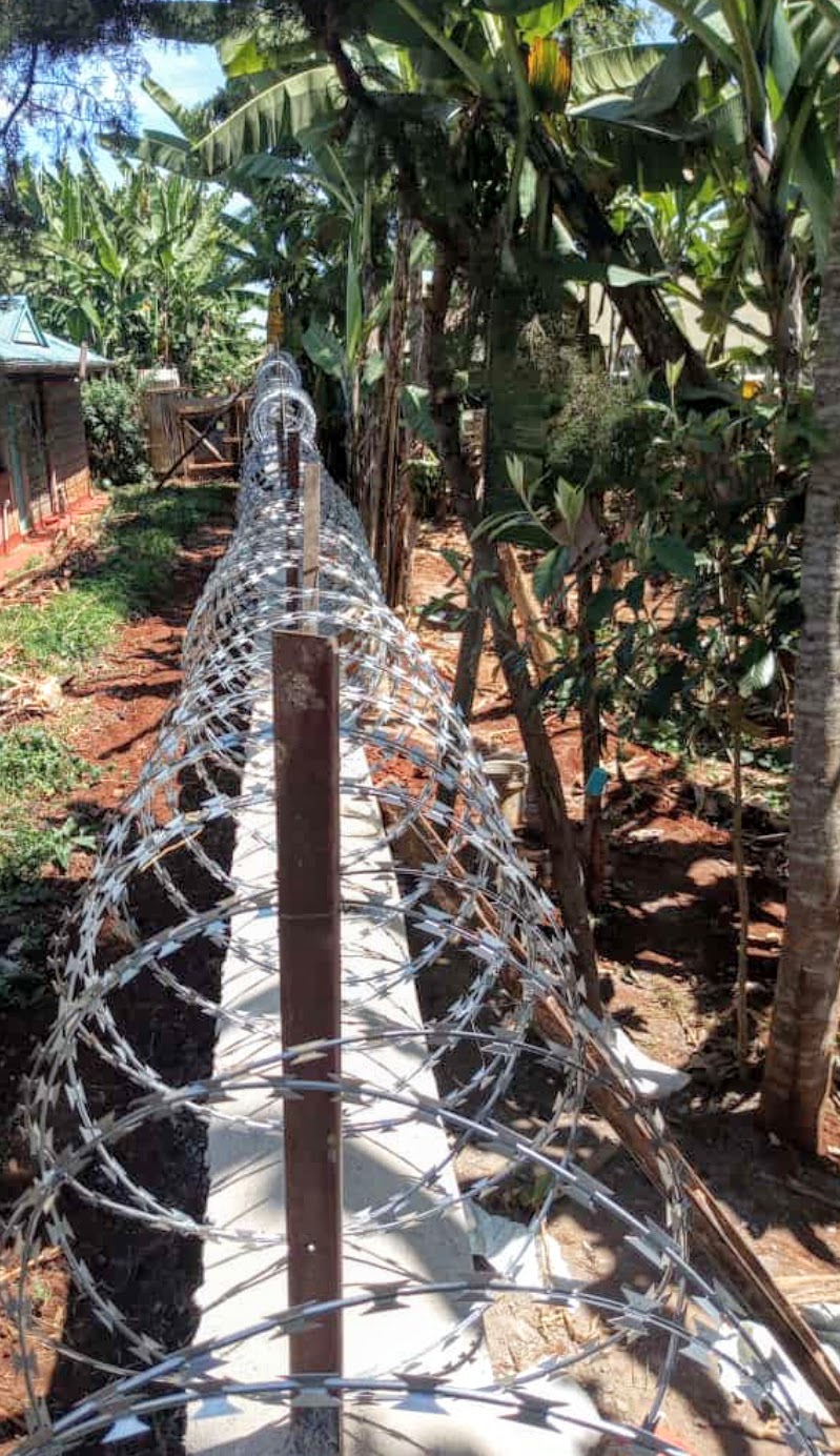 450mm-double-galvanized-razor-wire.jpg - P. S. L