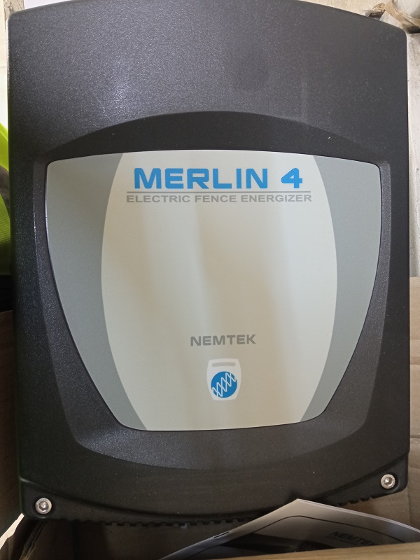 merlin-4.jpg - P. S. L